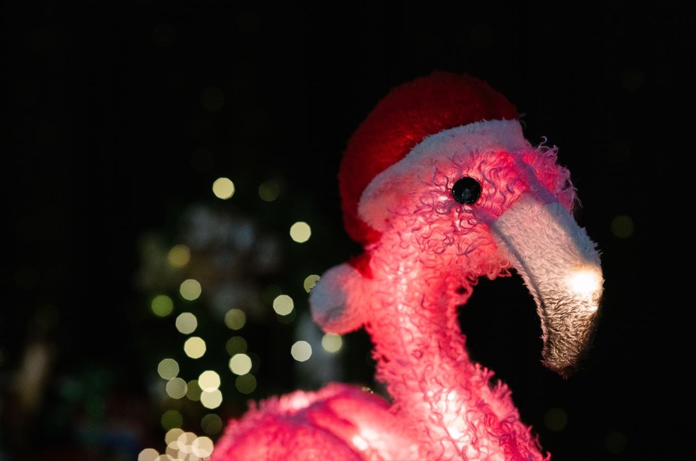 photo of an artificial pink flamingo wearing a red santa hat